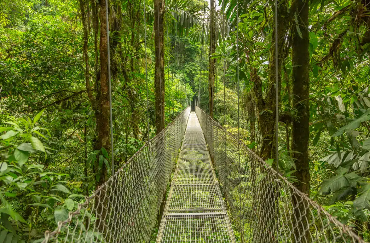 voyage costa rica jungle